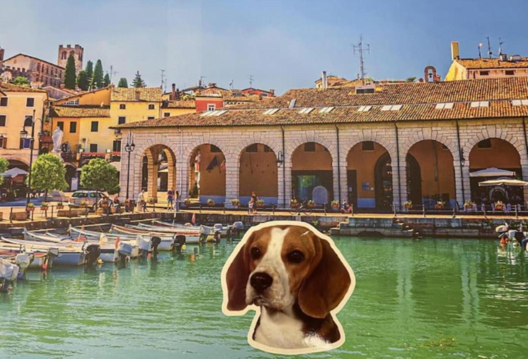 Desenzanoloft Official Partner Marriott Homes & Villas - Jack'S Penthouse Desenzano del Garda Eksteriør billede